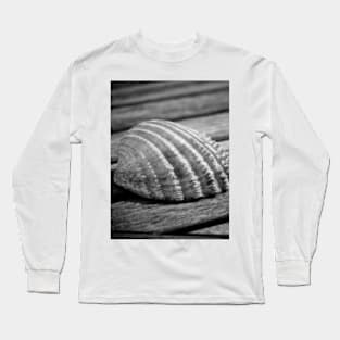 Half a sea shell on wood Long Sleeve T-Shirt